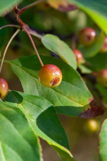 豪门后防崩溃，连续被打穿