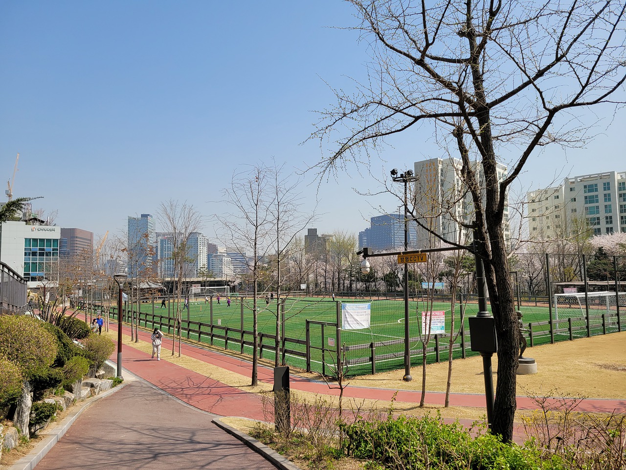 阿根廷与智