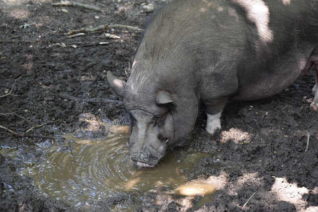 望值也在逐 望值也在逐