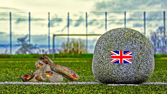 在此过程中 在此过程中