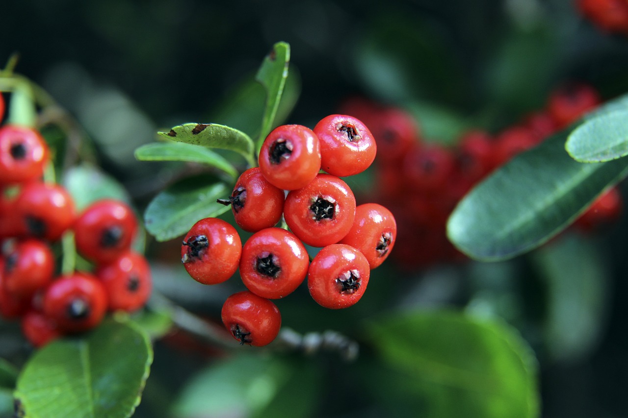 借娴熟的反 借娴熟的反