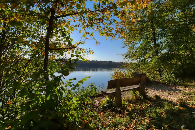 快速推进 快速推进