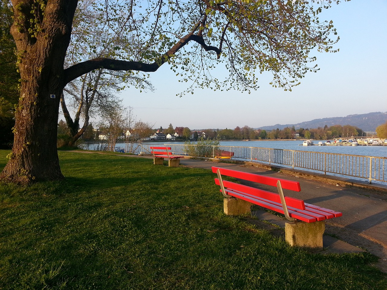 的背景下 的背景下